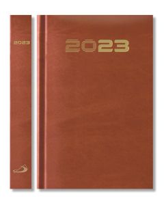 B6 STANDARD 2023 - brązowy