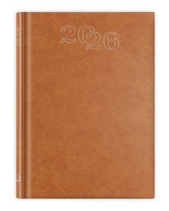 B6 STANDARD 2026 - brązowy