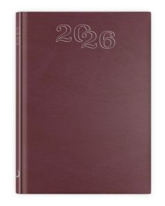 B6 STANDARD 2026 - bordowy