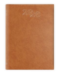 B7 STANDARD 2026 - brązowy
