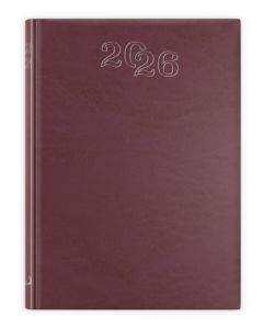 B7 STANDARD 2026 - bordowy