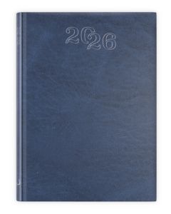B7 STANDARD 2026 - niebieski