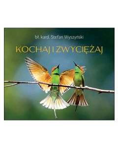 okładka_Kochaj i zwyciężaj