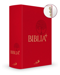 okładka_Biblia Plus - płótno czerwona z paginacją