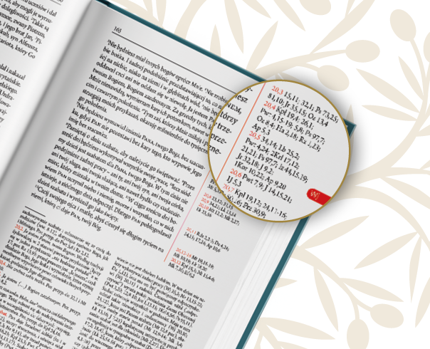 Biblia Plus i skrutacja – jak czytać Pismo głębiej