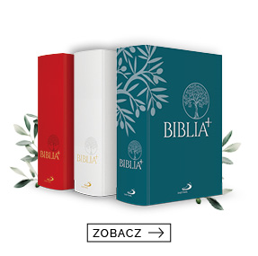 02_Biblia_Plus_zakladka_HEX_e6e6e6